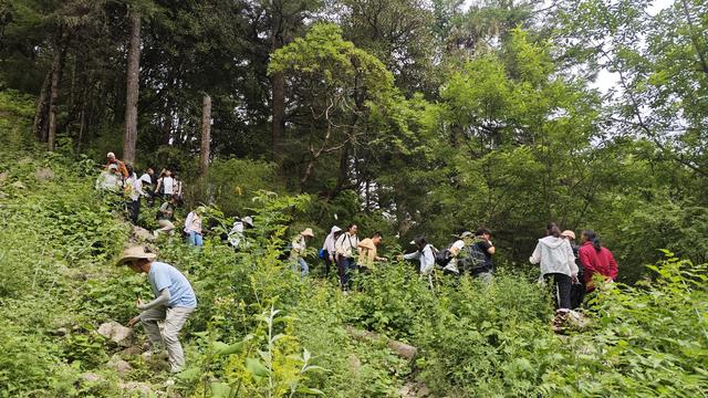 巴朗山盛夏行：把疲惫踩进大自然，让清风装满行囊​