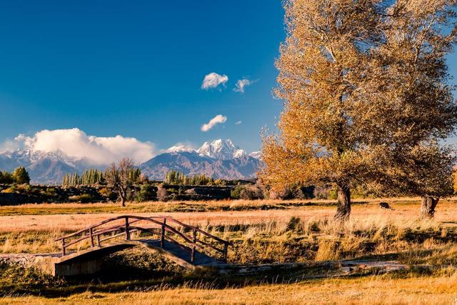 乌鲁木齐冷知识大揭秘：不止大巴扎和天池的奇妙之城