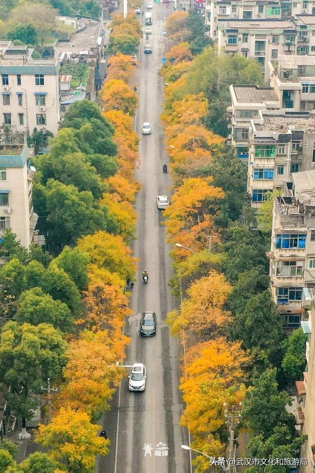 大降温后，青山最美冬景即将上线！