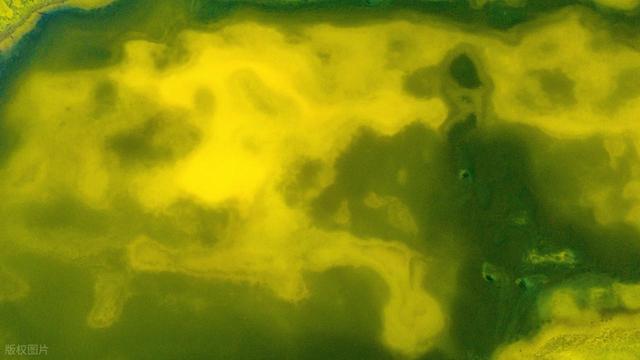 冬日运城，美的有些不正常（高清大图）