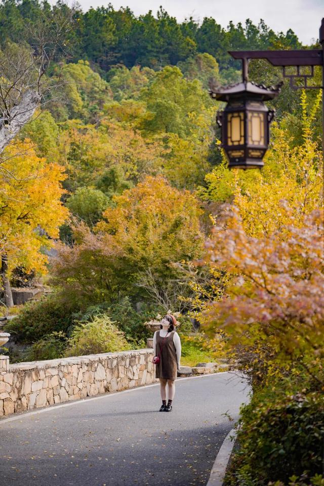 绝了！黄陂最被低估的宝藏赏秋地！