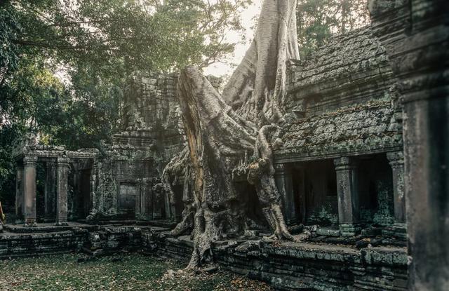 又一国对中国免签！千年的微笑在召唤