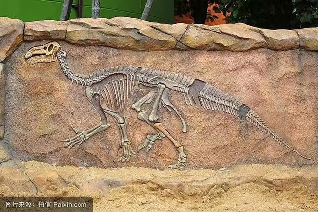 又踏甘肃地之三十三 金昌篇之三 金昌市博物馆（1）