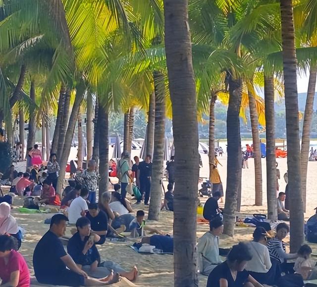 东北第二故乡三亚不香了？大批东北人纷纷撤离，背后原因令人无奈
