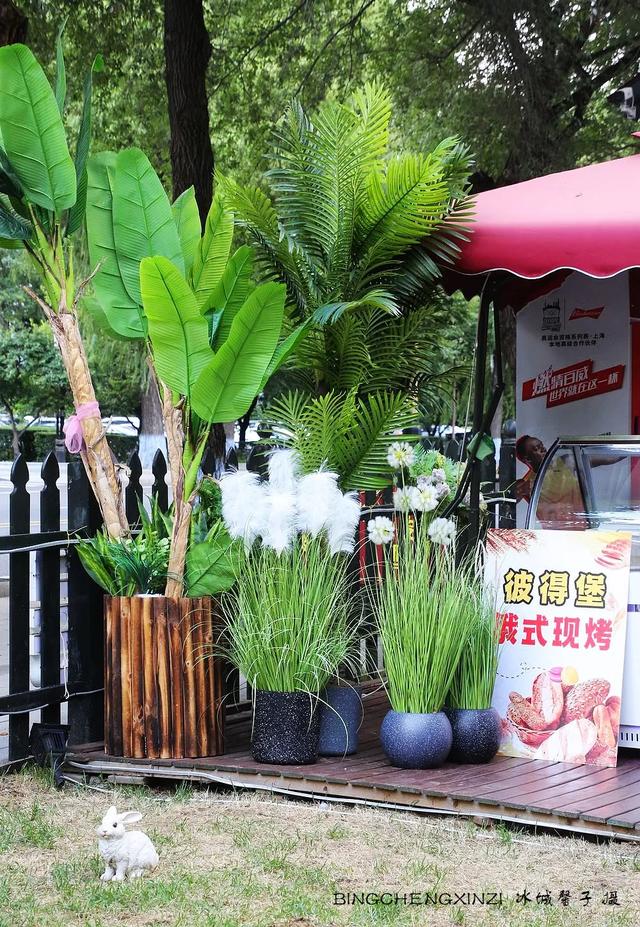 徜徉花园街区：与哈尔滨的温柔时光重逢