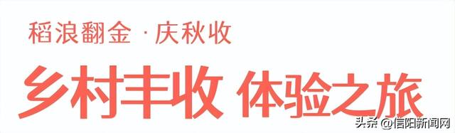一键收藏！解锁信阳秋日的N种浪漫方式