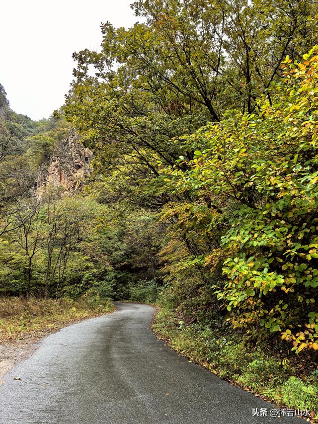 2025辽宁赏秋之旅日记(2)——游览丹东蒲石河森林公园