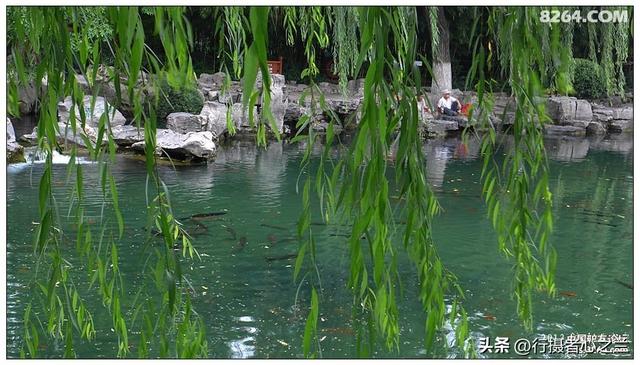 山东行游影记（11）—济南趵突泉（十一）