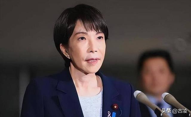 高市早苗再生毒计，联合国高票通过了日本提案，要求中国自废武功