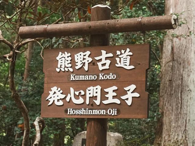 红叶疯了！竟然集体迟到！？