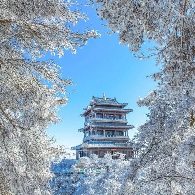 马上来“临” “沂”起过年｜爬一座沂蒙的山