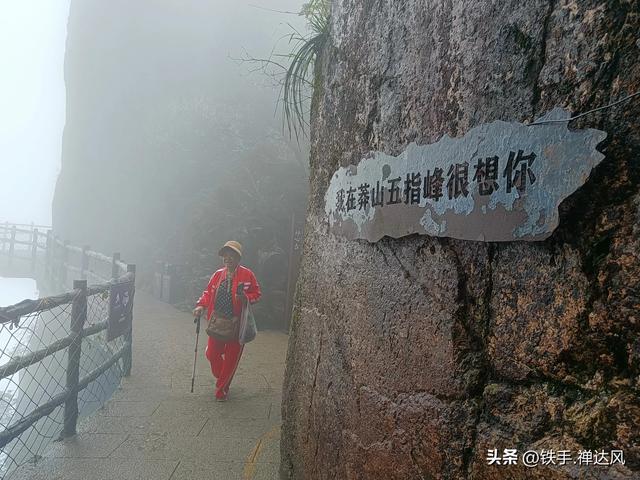 2025湖南行：仙气飘飘～莽山五指峰