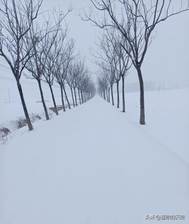 零下15度！河南四九天迎来寒冷暴击，真的要“猫冬”了？