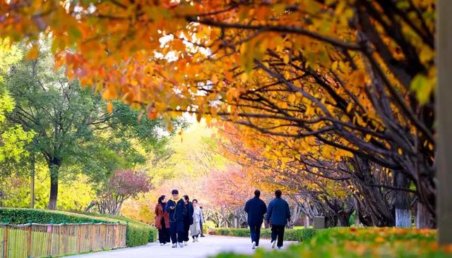 赏“秋”正当时！来太原这个公园遇见最美秋日