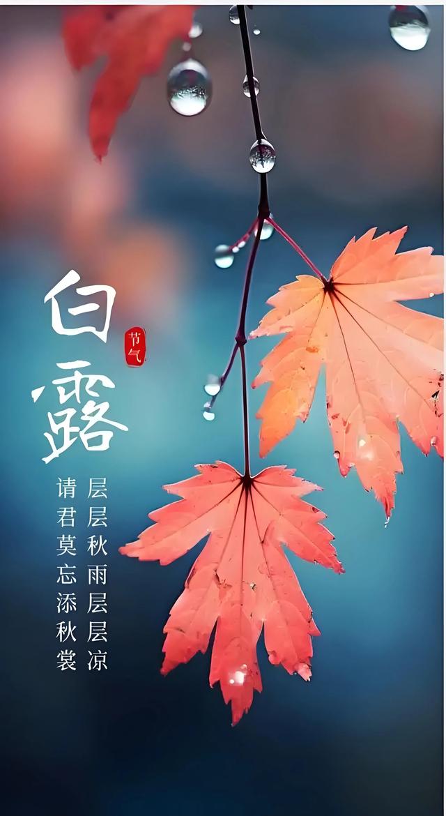 白露：秋霜染尽千山叶，明月空照万家灯。一程山水瘦，一寸相思深