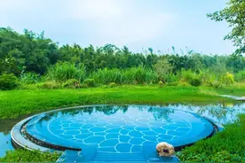 【转】六祖惠能《坛经》之特别(7)图片