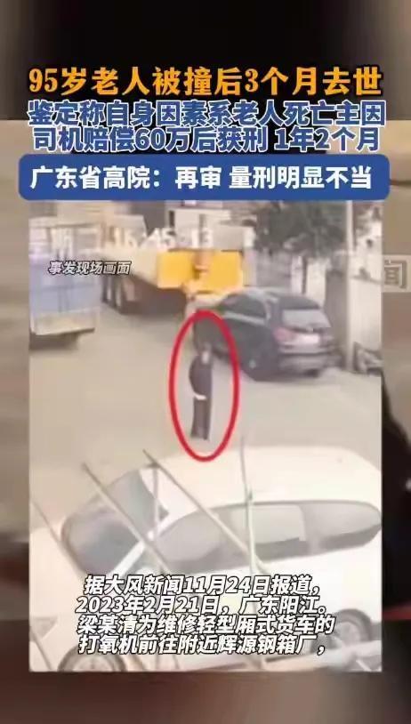 95岁老人被撞后3个月去世，司机赔偿60万还获刑1年2个月，法院：量刑不当，要再审！
