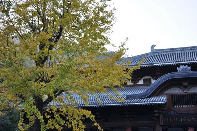 高铁1.5h！这座人少好玩无敌好吃的浙江名城，也免门票啦