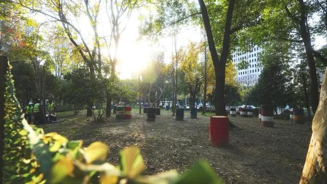 硚口区“就地取材”激活小微空间 育苗基地变身“森系”游园 市中心就能畅快体验:森林溯溪 + 露营 + RC越野