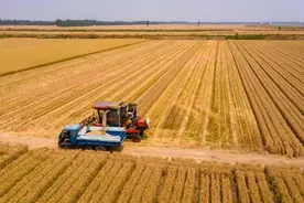 “旱不旱，就看五月十三”，今日五月十三，后面还会大旱吗？图片