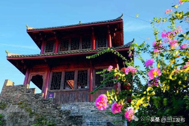 又到一季“柚香”时