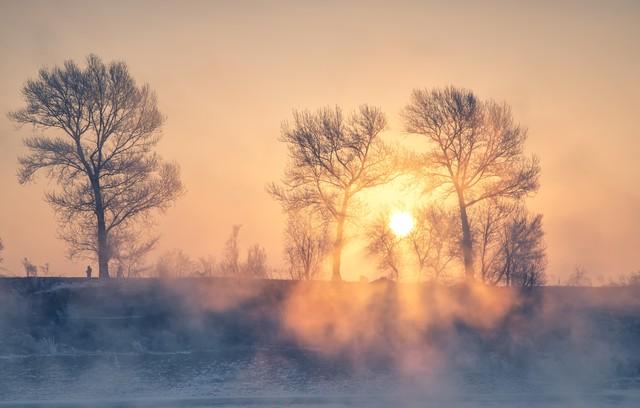 冬天冷不冷，就看立冬，今天立冬，今年冬天会冷到哭吗？