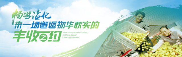 多彩滨州迎双节 文旅好礼乐不停│趣游沾化，玩转黄金周：十一文旅活动超全攻略！