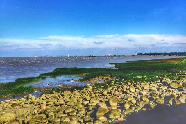中国沿海地区分布着许多重要的湿地公园