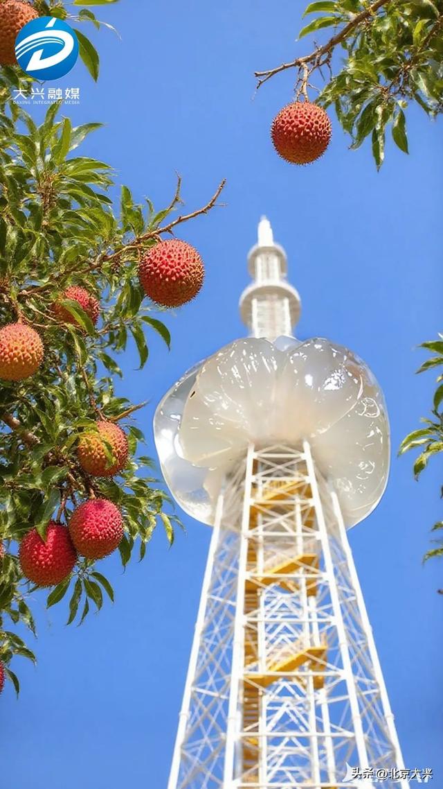 夏季顶流落地大兴，真是太给荔荔荔了！