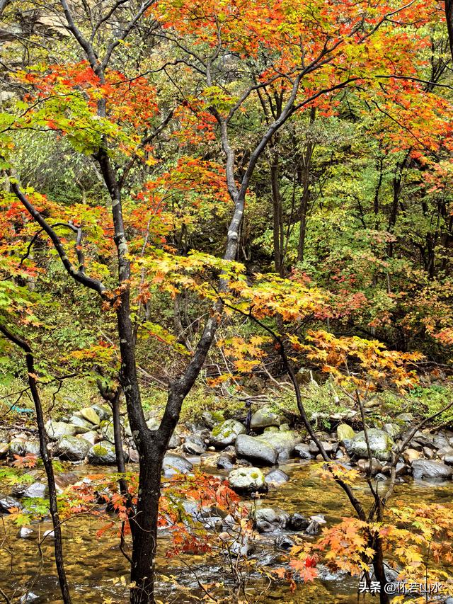 2025辽宁赏秋之旅日记(2)——游览丹东蒲石河森林公园