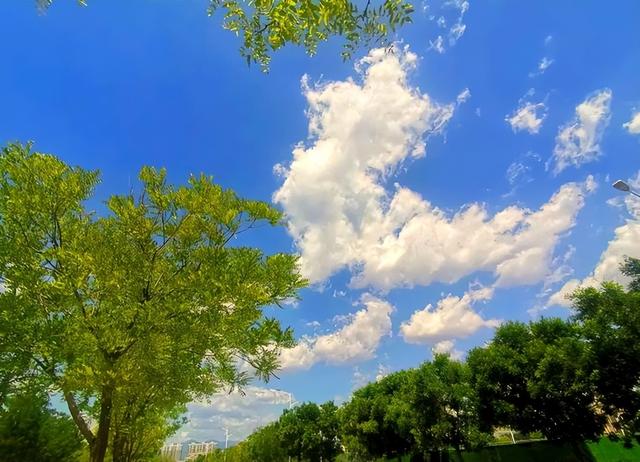 云朵竟是气候杀手？看似软萌无害，聚集起来能催生致命暴雨洪水？