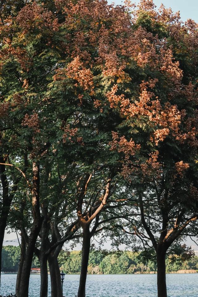 冬日暖阳里，来丰泽这儿享受惬意时光……