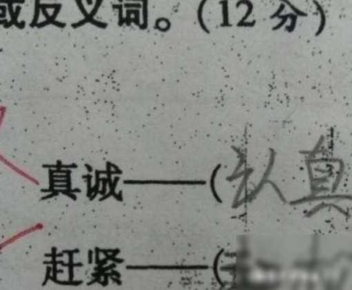小学生爆笑试卷：反义词“赶紧--赶松”哈哈哈！