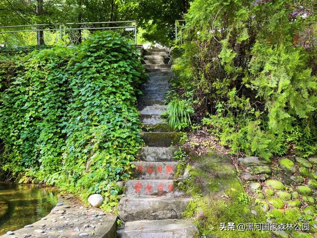 立秋已至，暑热未消，黑河山水与你相约“剩”夏的时光