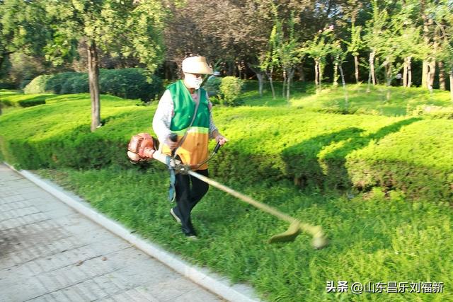 映山街的浪漫