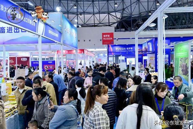 东坡文旅 持续上分中