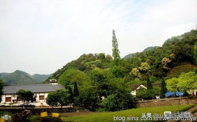 杭州324路公交车沿途风光（皖浙沪旅游122）