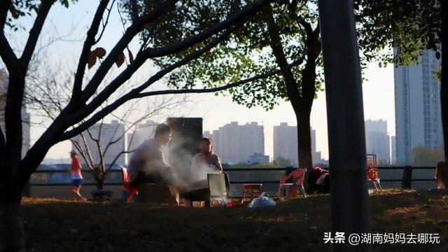 不用去南京，长沙也藏着 “梧桐秘境”！遛娃拍照美到窒息！