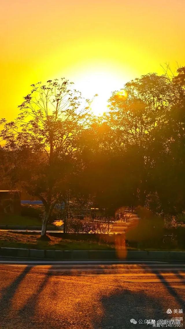 浙处丹霞地貌秋色斑斓超壮观,秋日必打卡之地!