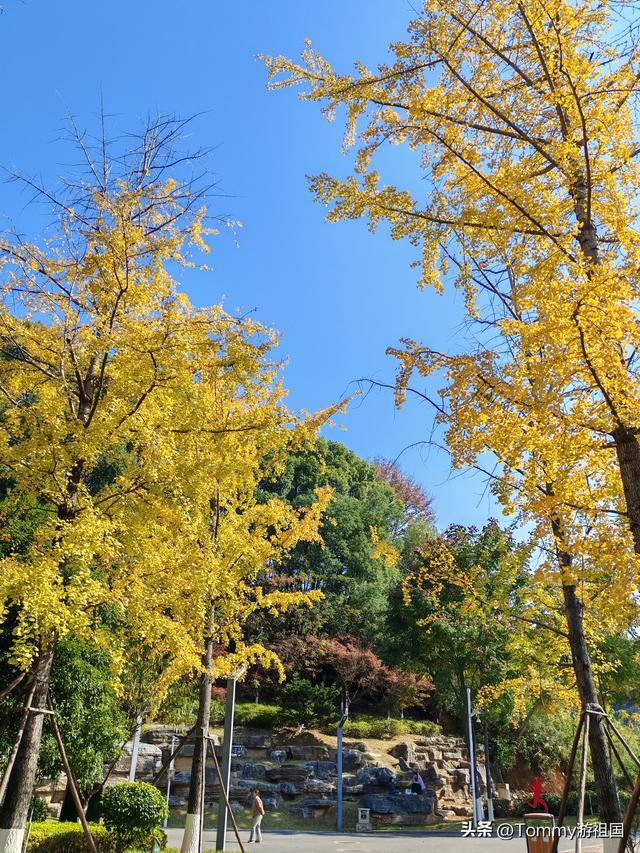 开着房车去流浪：打卡长沙狮子山公园