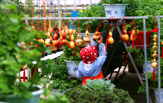 【梦幻临泽】临泽：“十四五”文旅融合演绎“七彩华章”#祁连山下是我家##厚道甘肃#