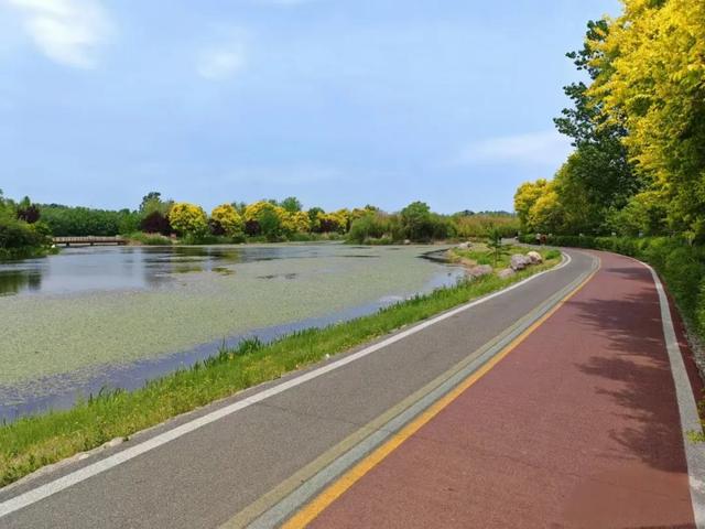 郑州出发2小时左右直达→藏在豫北的 “宝藏地”！