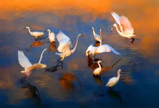 这是油画还是实景？太美太美啦！！