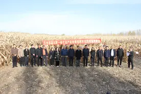 省农科院在镇赉县开展“玉米滴灌水肥一体化高产高效栽培技术示范”现场观摩会图片