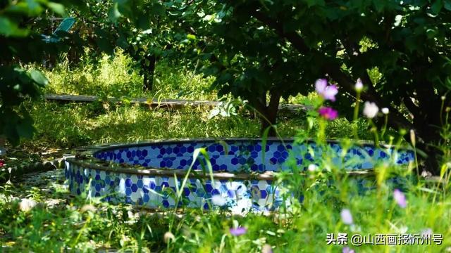 又见奇村 | 你知道吗？南高藏着一个“窑洞秘境”！