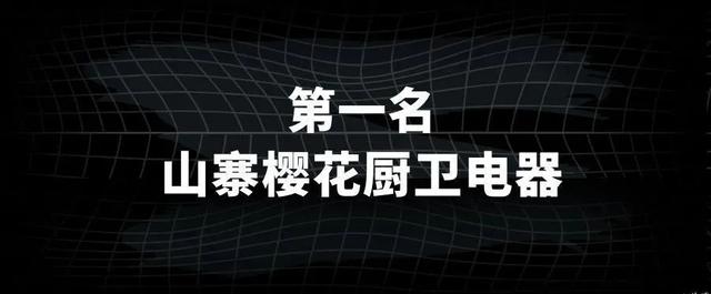 十大假冒山寨擦边球烟机灶具热水器，占据厨电市场半壁江山