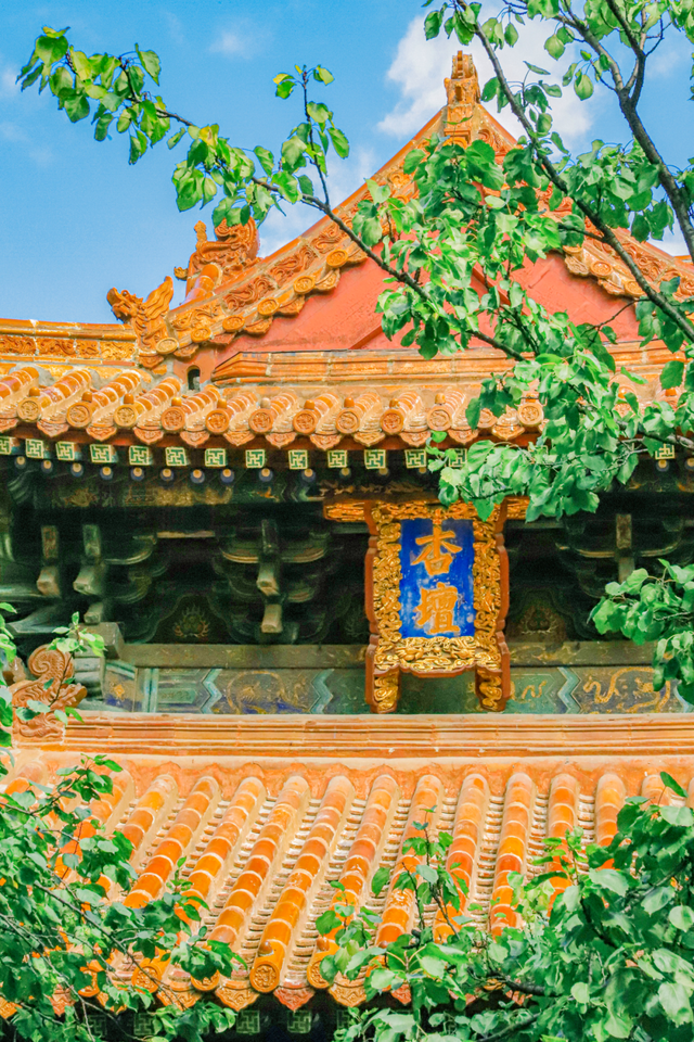 用四时好景打开曲阜三孔景区，留存每一帧中式浪漫！