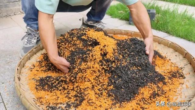 万千气象成都行 | 长达8天的假期，别去人挤人啦！来邛崃乡村松弛一下吧