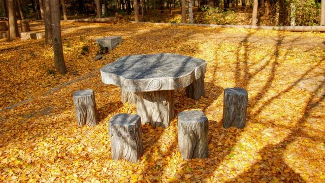 低头捡个秋！我收藏了整个烟台的秋天