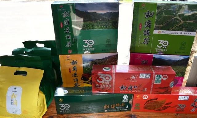 这场省级赛事在肇庆开赛！